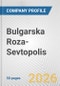 Bulgarska Roza-Sevtopolis Fundamental Company Report Including Financial, SWOT, Competitors and Industry Analysis - Product Thumbnail Image