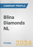 Blina Diamonds NL Fundamental Company Report Including Financial, SWOT, Competitors and Industry Analysis- Product Image
