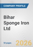 Bihar Sponge Iron Ltd. Fundamental Company Report Including Financial, SWOT, Competitors and Industry Analysis- Product Image