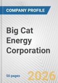 Big Cat Energy Corporation Fundamental Company Report Including Financial, SWOT, Competitors and Industry Analysis- Product Image