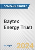Baytex Energy Trust Fundamental Company Report Including Financial, SWOT, Competitors and Industry Analysis- Product Image