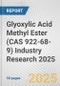 Glyoxylic Acid Methyl Ester (CAS 922-68-9) Industry Research 2025: Global and Regional Market Trends 2019-2024 and Forecast to 2029 - Product Image