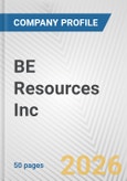 BE Resources Inc. Fundamental Company Report Including Financial, SWOT, Competitors and Industry Analysis- Product Image