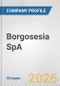 Borgosesia SpA Fundamental Company Report Including Financial, SWOT, Competitors and Industry Analysis - Product Thumbnail Image