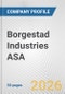 Borgestad Industries ASA Fundamental Company Report Including Financial, SWOT, Competitors and Industry Analysis - Product Thumbnail Image