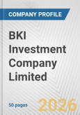BKI Investment Company Limited Fundamental Company Report Including Financial, SWOT, Competitors and Industry Analysis- Product Image