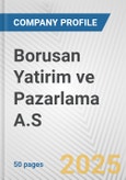 Borusan Yatirim ve Pazarlama A.S. Fundamental Company Report Including Financial, SWOT, Competitors and Industry Analysis- Product Image