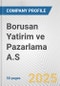 Borusan Yatirim ve Pazarlama A.S. Fundamental Company Report Including Financial, SWOT, Competitors and Industry Analysis - Product Thumbnail Image