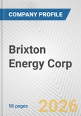 Brixton Energy Corp. Fundamental Company Report Including Financial, SWOT, Competitors and Industry Analysis- Product Image