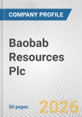 Baobab Resources Plc Fundamental Company Report Including Financial, SWOT, Competitors and Industry Analysis- Product Image