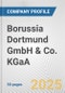Borussia Dortmund GmbH & Co. KGaA Fundamental Company Report Including Financial, SWOT, Competitors and Industry Analysis - Product Thumbnail Image