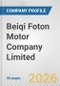 Beiqi Foton Motor Company Limited Fundamental Company Report Including Financial, SWOT, Competitors and Industry Analysis - Product Thumbnail Image