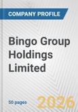 Bingo Group Holdings Limited Fundamental Company Report Including Financial, SWOT, Competitors and Industry Analysis- Product Image