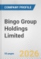 Bingo Group Holdings Limited Fundamental Company Report Including Financial, SWOT, Competitors and Industry Analysis - Product Thumbnail Image