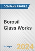Borosil Glass Works Fundamental Company Report Including Financial, SWOT, Competitors and Industry Analysis- Product Image