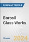 Borosil Glass Works Fundamental Company Report Including Financial, SWOT, Competitors and Industry Analysis - Product Thumbnail Image