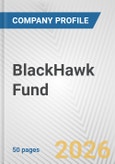 BlackHawk Fund Fundamental Company Report Including Financial, SWOT, Competitors and Industry Analysis- Product Image