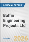 Baffin Engineering Projects Ltd. Fundamental Company Report Including Financial, SWOT, Competitors and Industry Analysis- Product Image
