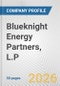 Blueknight Energy Partners, L.P. Fundamental Company Report Including Financial, SWOT, Competitors and Industry Analysis - Product Thumbnail Image