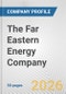 The Far Eastern Energy Company Fundamental Company Report Including Financial, SWOT, Competitors and Industry Analysis - Product Thumbnail Image
