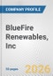 BlueFire Renewables, Inc. Fundamental Company Report Including Financial, SWOT, Competitors and Industry Analysis - Product Thumbnail Image