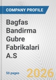 Bagfas Bandirma Gubre Fabrikalari A.S. Fundamental Company Report Including Financial, SWOT, Competitors and Industry Analysis- Product Image