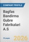 Bagfas Bandirma Gubre Fabrikalari A.S. Fundamental Company Report Including Financial, SWOT, Competitors and Industry Analysis - Product Thumbnail Image