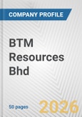 BTM Resources Bhd Fundamental Company Report Including Financial, SWOT, Competitors and Industry Analysis- Product Image