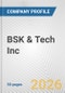BSK & Tech Inc. Fundamental Company Report Including Financial, SWOT, Competitors and Industry Analysis - Product Thumbnail Image