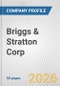 Briggs & Stratton Corp. Fundamental Company Report Including Financial, SWOT, Competitors and Industry Analysis - Product Thumbnail Image