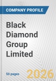 Black Diamond Group Limited Fundamental Company Report Including Financial, SWOT, Competitors and Industry Analysis- Product Image