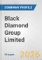 Black Diamond Group Limited Fundamental Company Report Including Financial, SWOT, Competitors and Industry Analysis - Product Thumbnail Image