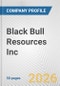 Black Bull Resources Inc. Fundamental Company Report Including Financial, SWOT, Competitors and Industry Analysis - Product Thumbnail Image