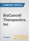 BioCancell Therapeutics, Inc. Fundamental Company Report Including Financial, SWOT, Competitors and Industry Analysis - Product Thumbnail Image