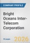 Bright Oceans Inter-Telecom Corporation Fundamental Company Report Including Financial, SWOT, Competitors and Industry Analysis - Product Thumbnail Image