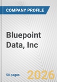 Bluepoint Data, Inc. Fundamental Company Report Including Financial, SWOT, Competitors and Industry Analysis- Product Image