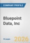 Bluepoint Data, Inc. Fundamental Company Report Including Financial, SWOT, Competitors and Industry Analysis - Product Thumbnail Image