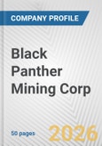 Black Panther Mining Corp. Fundamental Company Report Including Financial, SWOT, Competitors and Industry Analysis- Product Image