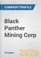 Black Panther Mining Corp. Fundamental Company Report Including Financial, SWOT, Competitors and Industry Analysis - Product Thumbnail Image