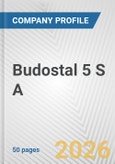 Budostal 5 S A Fundamental Company Report Including Financial, SWOT, Competitors and Industry Analysis- Product Image