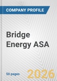 Bridge Energy ASA Fundamental Company Report Including Financial, SWOT, Competitors and Industry Analysis- Product Image