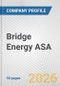Bridge Energy ASA Fundamental Company Report Including Financial, SWOT, Competitors and Industry Analysis - Product Thumbnail Image
