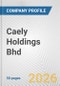 Caely Holdings Bhd Fundamental Company Report Including Financial, SWOT, Competitors and Industry Analysis - Product Thumbnail Image
