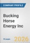 Bucking Horse Energy Inc. Fundamental Company Report Including Financial, SWOT, Competitors and Industry Analysis - Product Thumbnail Image
