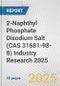 2-Naphthyl Phosphate Disodium Salt (CAS 31681-98-8) Industry Research 2025: Global and Regional Market Trends 2019-2024 and Forecast to 2029 - Product Image