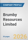 Brumby Resources Limited Fundamental Company Report Including Financial, SWOT, Competitors and Industry Analysis- Product Image