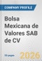 Bolsa Mexicana de Valores SAB de CV Fundamental Company Report Including Financial, SWOT, Competitors and Industry Analysis - Product Thumbnail Image