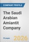 The Saudi Arabian Amiantit Company Fundamental Company Report Including Financial, SWOT, Competitors and Industry Analysis - Product Thumbnail Image