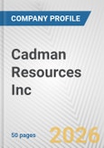 Cadman Resources Inc. Fundamental Company Report Including Financial, SWOT, Competitors and Industry Analysis- Product Image