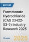 Formetanate Hydrochloride (CAS 23422-53-9) Industry Research 2025: Global and Regional Market Trends 2019-2024 and Forecast to 2029 - Product Image